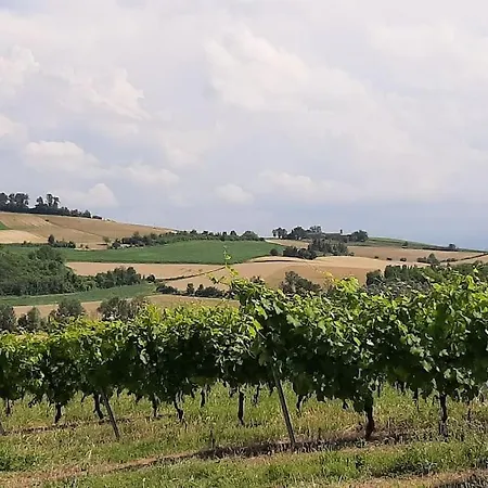 Sanlorenzo House In Piemonte With Private Pool Dom wakacyjny *