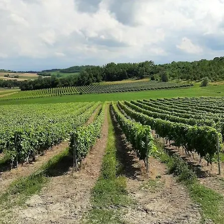Dom wakacyjny Sanlorenzo House In Piemonte With Private Pool San Lorenzo (Alessandria)