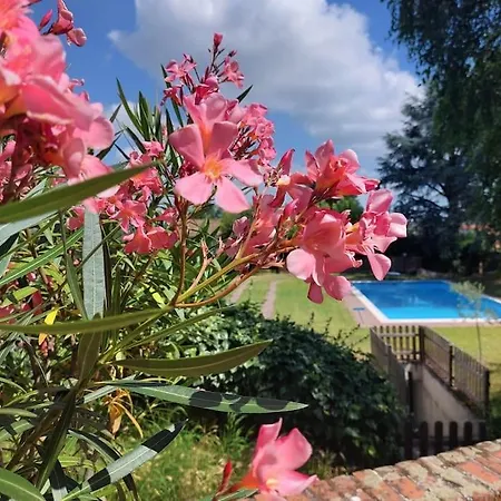Sanlorenzo House In Piemonte With Private Pool * San Lorenzo (Alessandria)